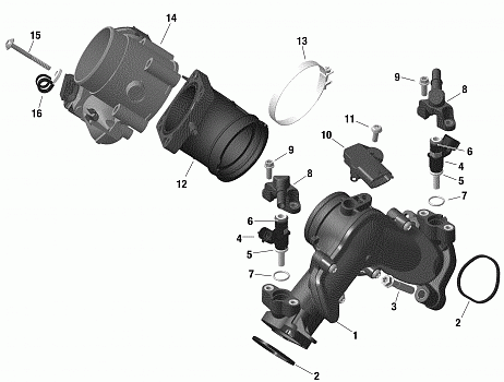 Engine - Air Intake Manifold And Throttle Body