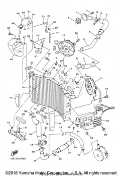 RADIATOR HOSE