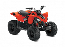 Can-am DS90 2015