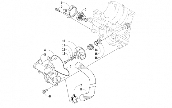 WATER PUMP AND THERMOSTAT