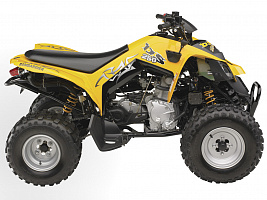 Can-am DS250 2009