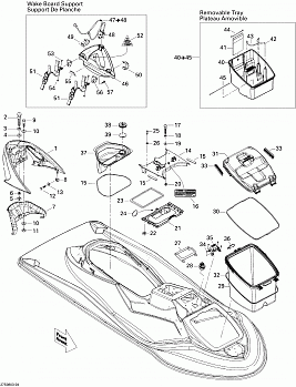 Body, Front View