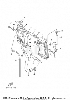 RADIATOR HOSE