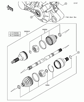 Drive Shaft-Rear