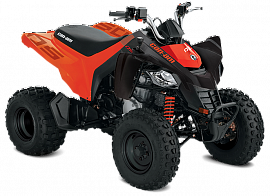 Can-am DS250 2021