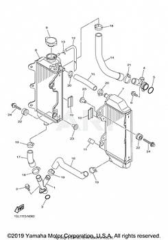 RADIATOR HOSE