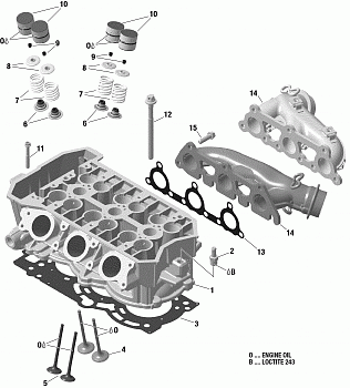 Cylinder Head And Exhaust Manifold 900 ACE