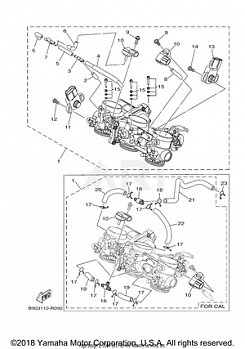 INTAKE