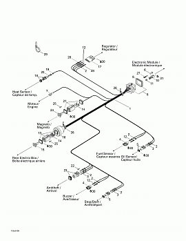 Electrical Harness