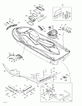 Body, Rear View