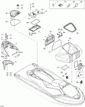 Body, Front View