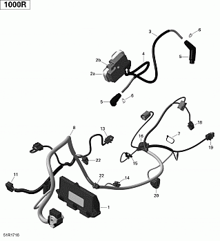 Engine Harness and Electronic Module - Commander 1000R