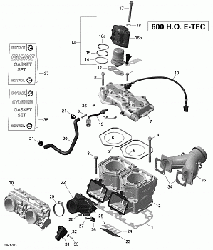 Cylinder and Injection System - 600HO E-TEC