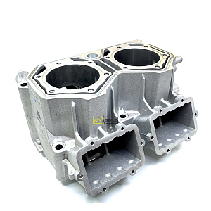 Цилиндр Ski Doo 420413575