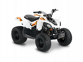 Can-am DS70 2020