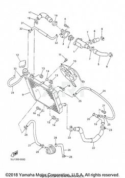 RADIATOR HOSE