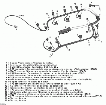 Engine Harness