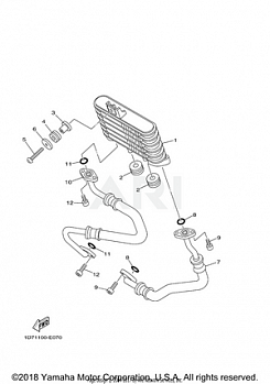 OIL COOLER