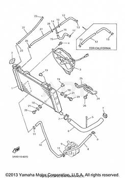 RADIATOR HOSE