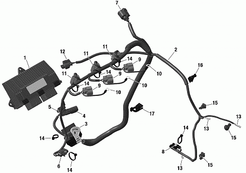 Electrical - Engine Harness / Electronic Module - 900 ACE