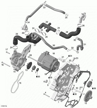 Waterpump, Alternator and Ignition Cover