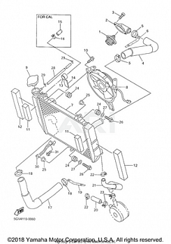 RADIATOR HOSE