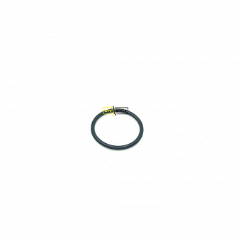 Кольцо резиновое натяжителя цепи Can Am 420250890