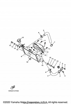 RADIATOR & HOSE