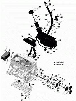 Engine Lubrication