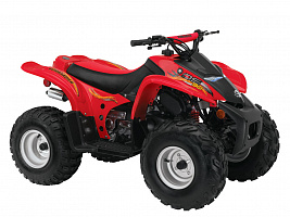 Can-am DS90 2003