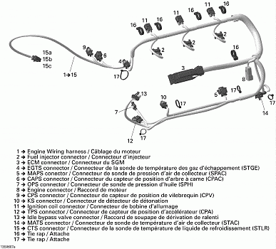 Engine Harness