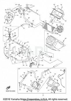 RADIATOR HOSE