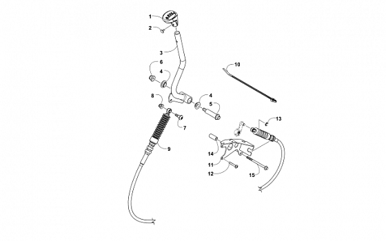 SHIFTER ASSEMBLY