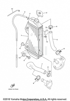 RADIATOR HOSE