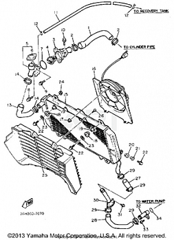 RADIATOR HOSE