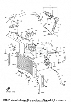 RADIATOR HOSE