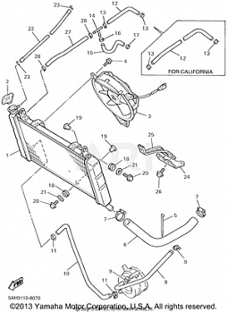 RADIATOR HOSE