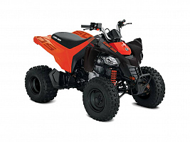 Can-am DS250 2020