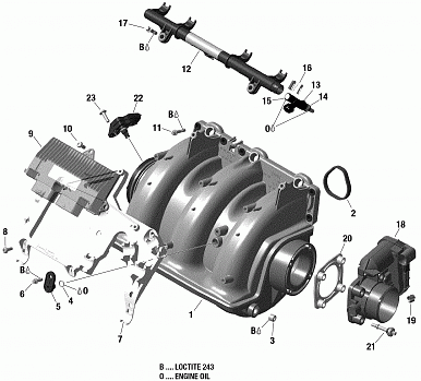 Air Intake Manifold And Throttle Body