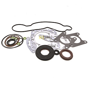 Комплект прокладок полный SPI для Polaris 600 / 700 09-711298