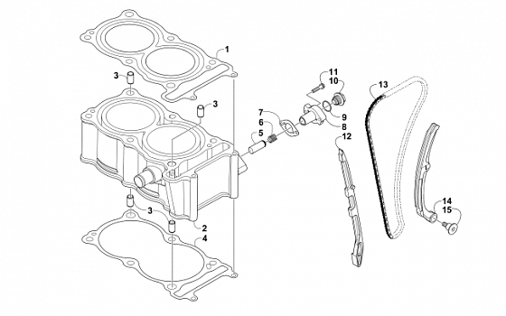 CYLINDER AND TIMING CHAIN ASSEMBLY