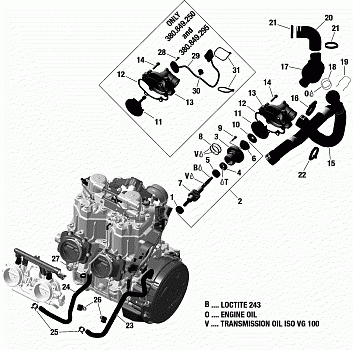 Engine Cooling