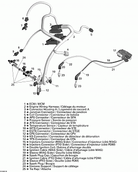 Engine Harness And Electronic Module