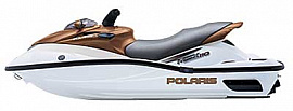 Polaris MSX 110 2004