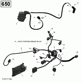 Engine Harness and Electronic Module - 650 EFI (Package PRO)