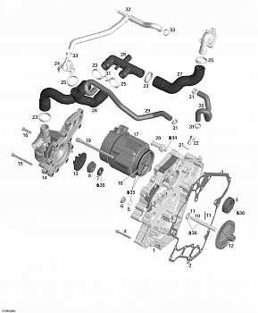 Water Pump, Alternator, Ignition Cover