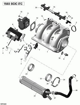 Air Intake Manifold and Throttle Body - 215