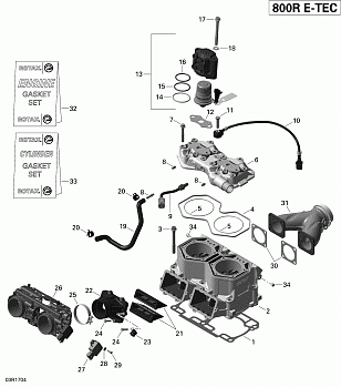 Cylinder and Injection System - 800R E-TEC