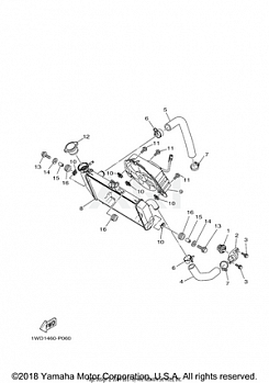 RADIATOR HOSE