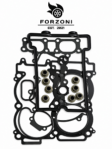 Комплект прокладок двигателя Forzoni FS-400 RZR1000XP 14-19